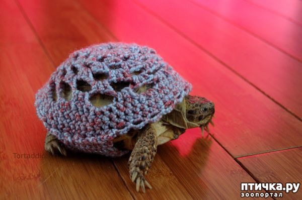 ���� 2: ������� � ����� �������� -1