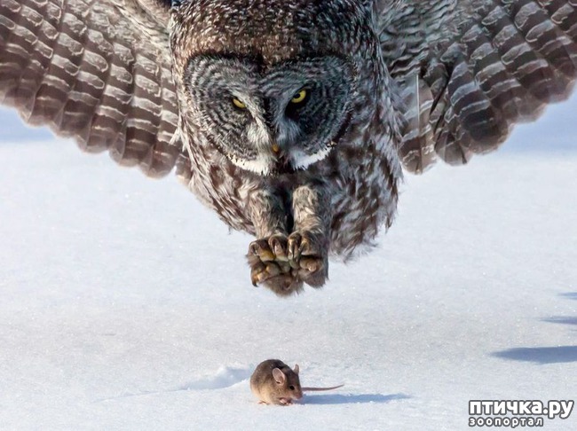 ���� 3: ������� � ����� �������� -1