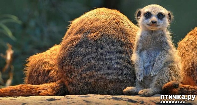 ���� 8: ������� � ����� �������� -1