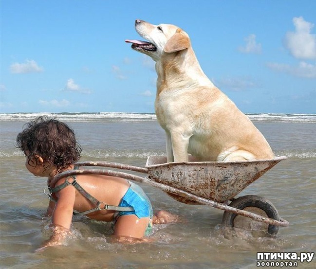 ���� 9: ������� � ����� �������� -1