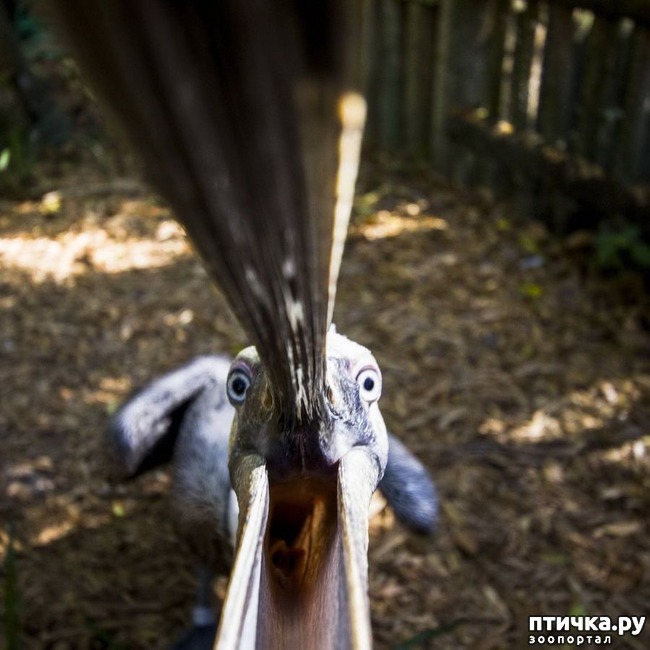 ���� 11: ������� � ����� �������� -1