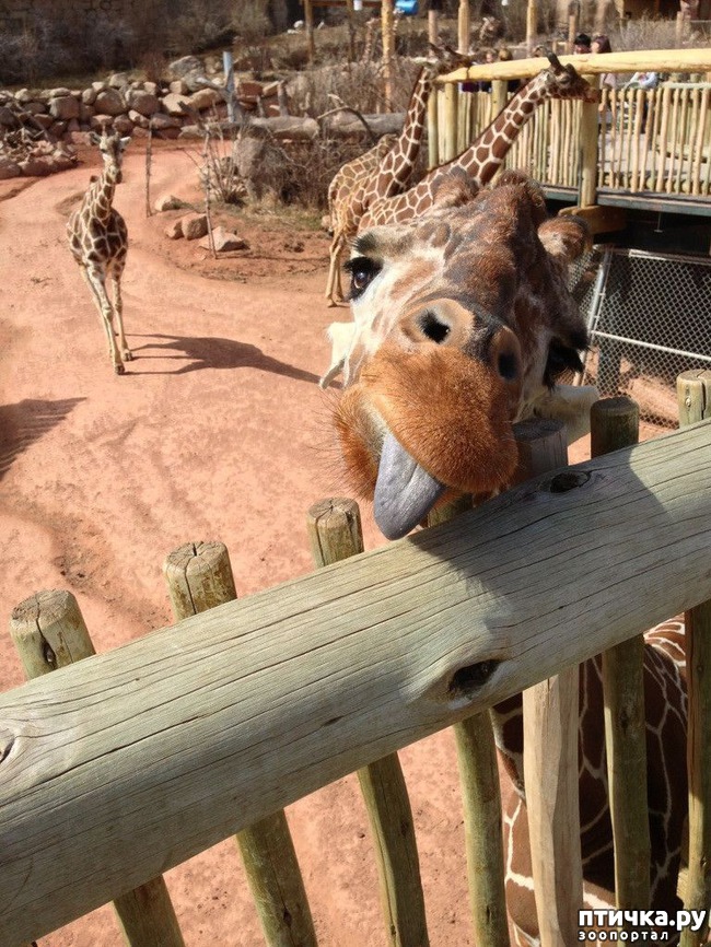 ���� 13: ������� � ����� �������� -1