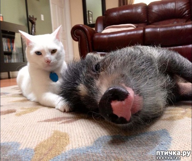 ���� 14: ������� � ����� �������� -1