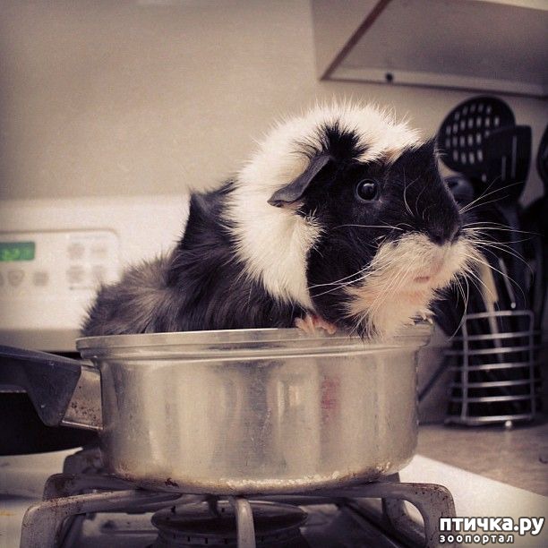 ���� 15: ������� � ����� �������� -1