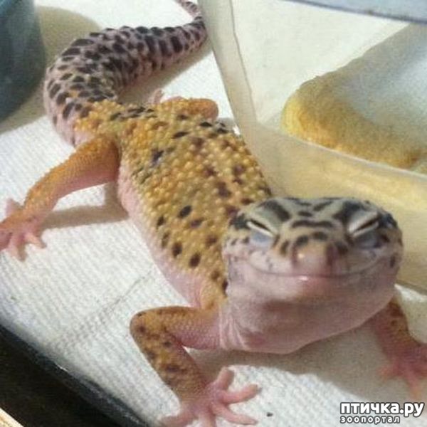 ���� 18: ������� � ����� �������� -1