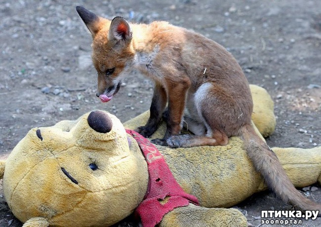 ���� 19: ������� � ����� �������� -1