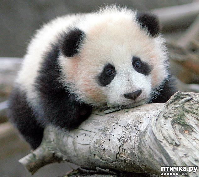 ���� 20: ������� � ����� �������� -1