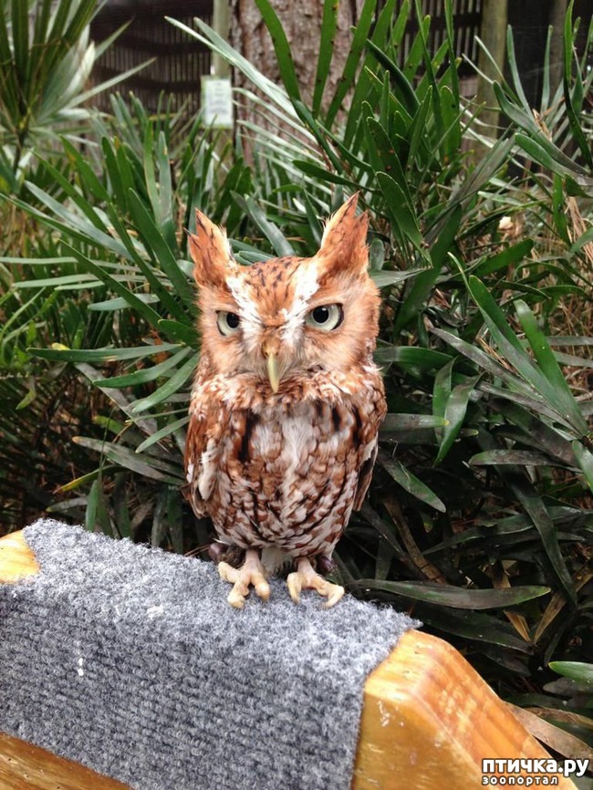 ���� 21: ������� � ����� �������� -1