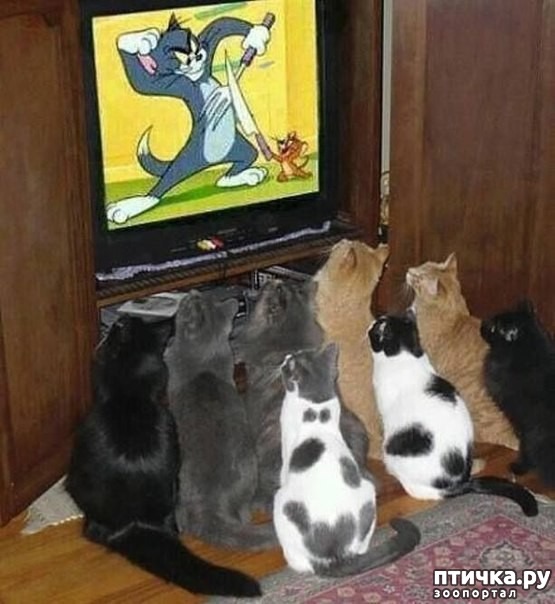 ���� 1: ����� ����!