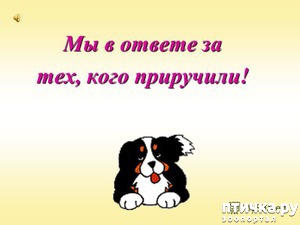 ����: ������ � ������ �� ���, ���� ���������