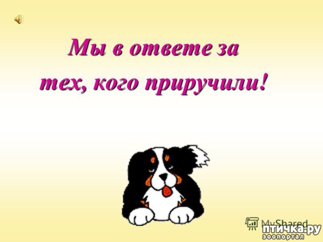 ���� 1: ������ � ������ �� ���, ���� ���������