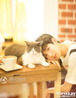 ����: ����������� ������