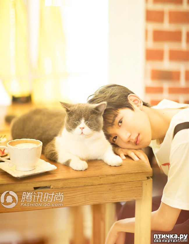 ���� 1: ����������� ������