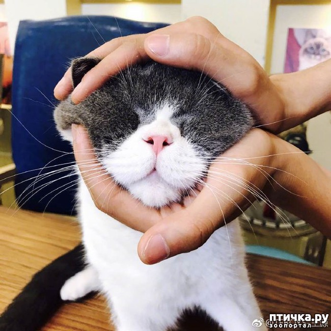 ���� 2: ����������� ������