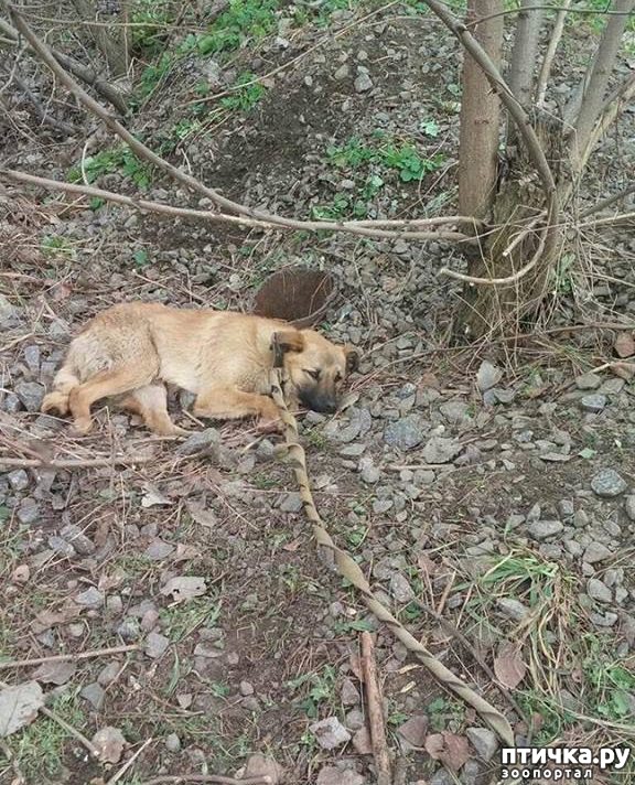 ���� 1: ���������� ������� ��� �������