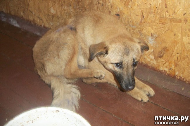 ���� 2: ���������� ������� ��� �������