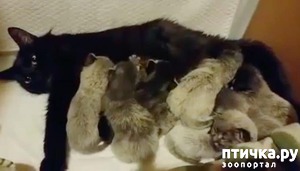 ����: ��������� ������ � ���������� ���������� ��� ������� ������� � �������)