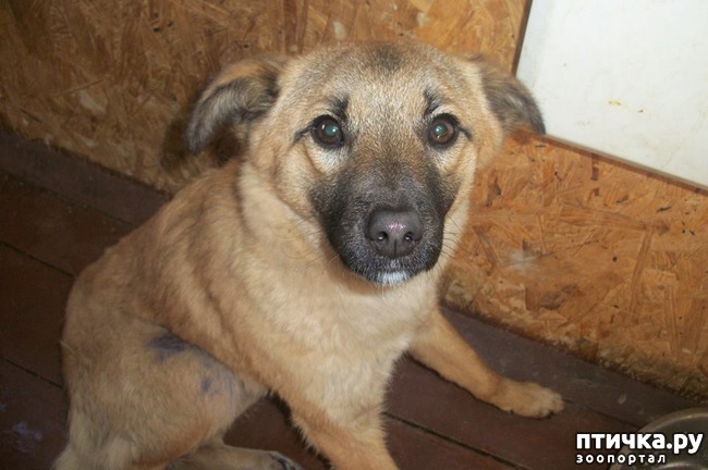 ���� 3: ���������� ������� ��� �������