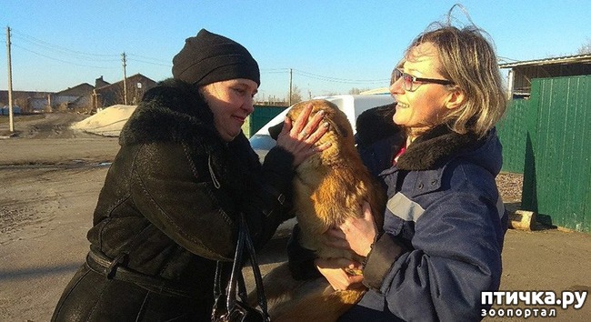 ���� 5: ���������� ������� ��� �������