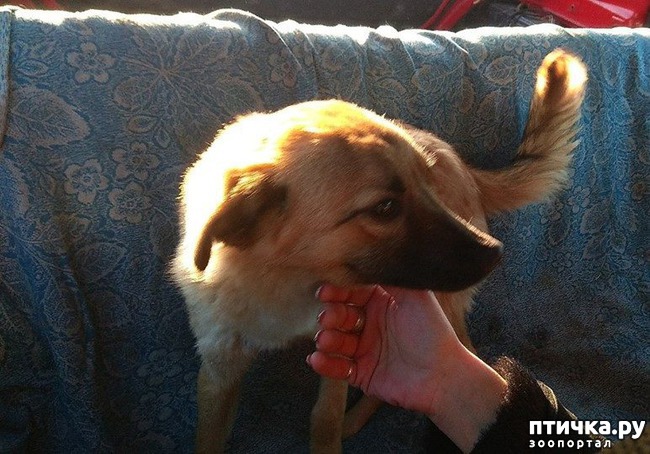 ���� 6: ���������� ������� ��� �������