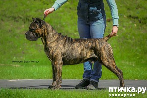 ����: ���� � ������! ��� ���� �����!