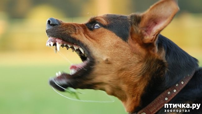 ���� 1: ���� ������������� ������ � � �������. ��� ������?