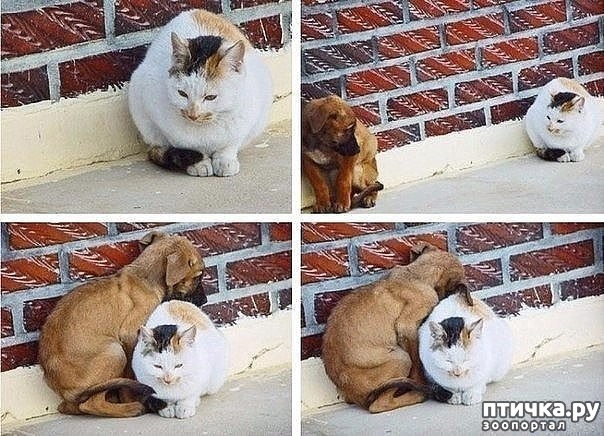 ���� 1: ������� ����� ������� �����