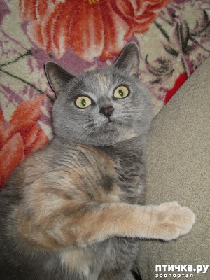 ����: ��� ����������� ������ �����.