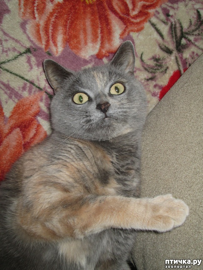 ���� 1: ��� ����������� ������ �����.