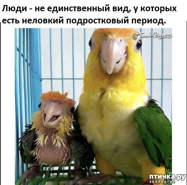 ���� 1: ������������ �������