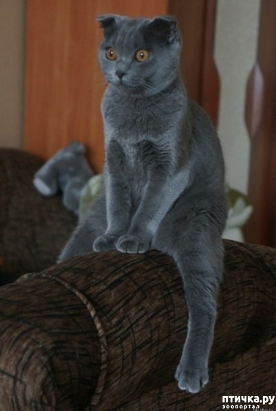 ���� 5: ���������