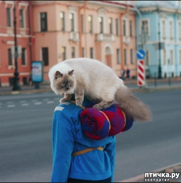 ���� 7: ���������