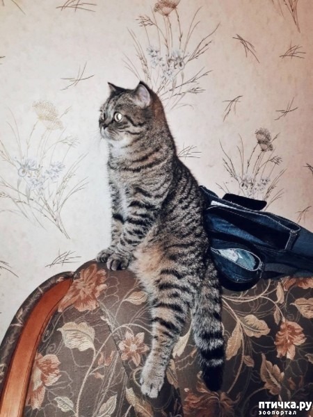 ���� 9: ���������