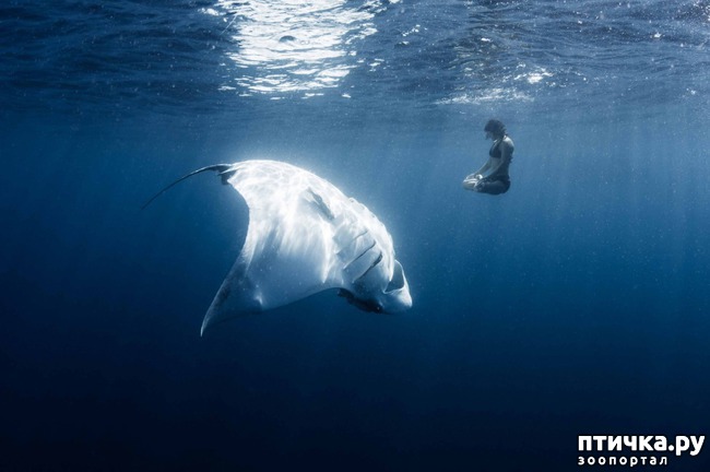 ���� 22: ��� �� �������! ������������ - ��...