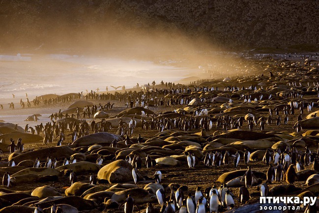 ���� 24: ��� �� �������! ������������ - ��...