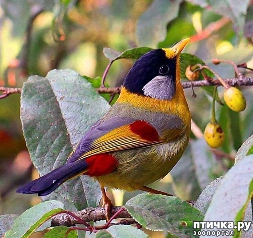 ���� 25: ��� �� �������! ������������ - ��...