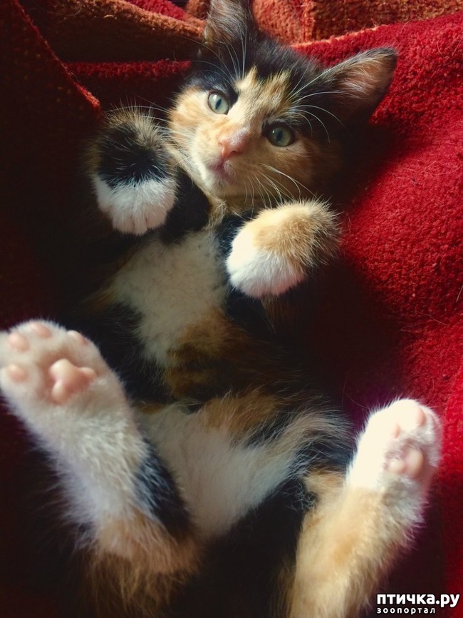 ���� 2: ��� ������ ���������� ������������ ����� ����� � ������� ����� � ���������������)))