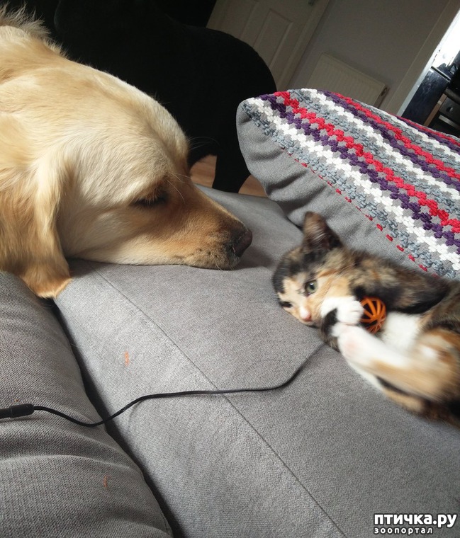 ���� 3: ��� ������ ���������� ������������ ����� ����� � ������� ����� � ���������������)))