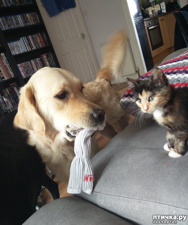 ���� 4: ��� ������ ���������� ������������ ����� ����� � ������� ����� � ���������������)))