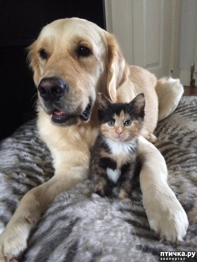 ���� 6: ��� ������ ���������� ������������ ����� ����� � ������� ����� � ���������������)))