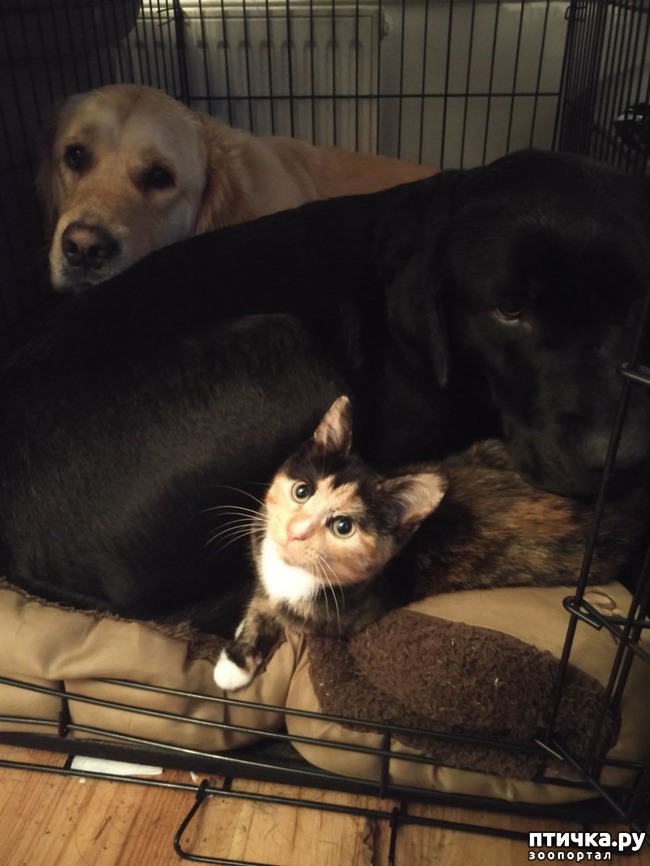 ���� 7: ��� ������ ���������� ������������ ����� ����� � ������� ����� � ���������������)))