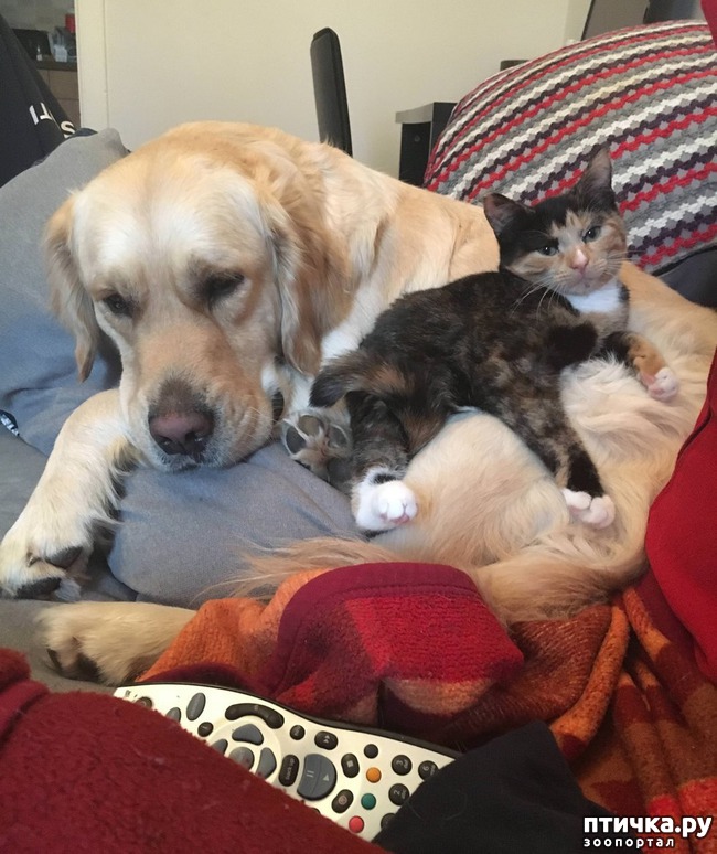 ���� 8: ��� ������ ���������� ������������ ����� ����� � ������� ����� � ���������������)))