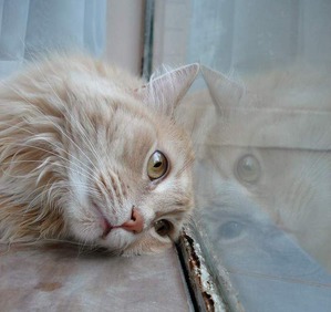 ����: � ����� ����� ��� ��� ���������� ���.