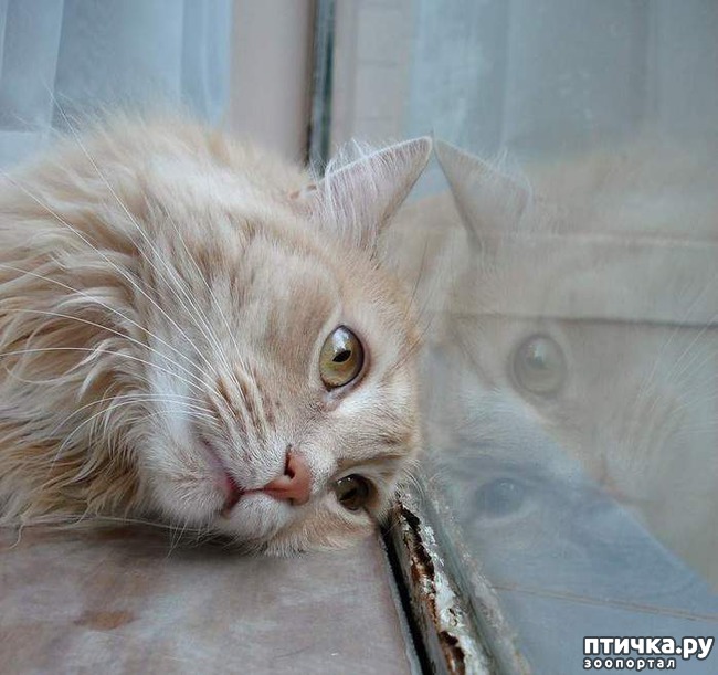 ���� 1: � ����� ����� ��� ��� ���������� ���.