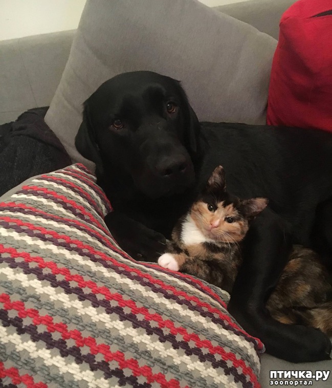 ���� 9: ��� ������ ���������� ������������ ����� ����� � ������� ����� � ���������������)))