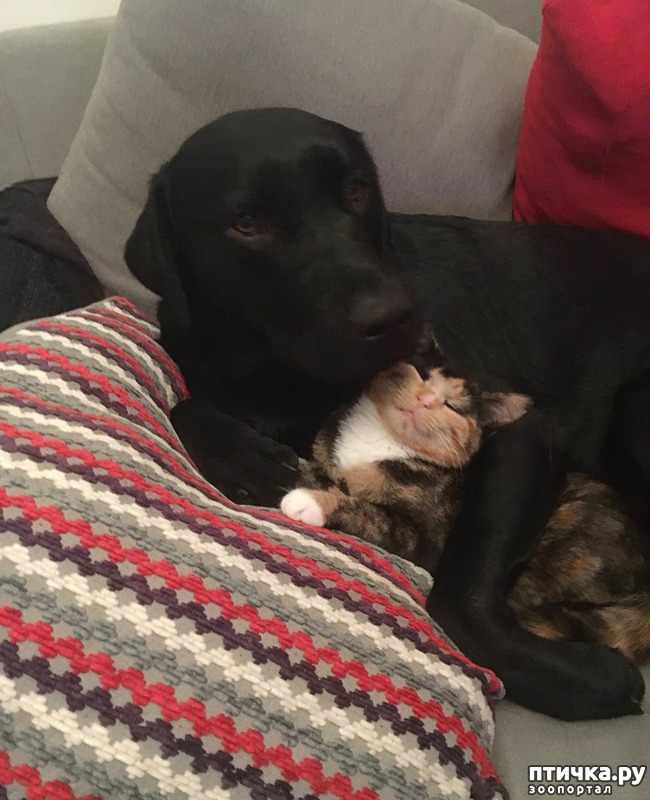 ���� 10: ��� ������ ���������� ������������ ����� ����� � ������� ����� � ���������������)))