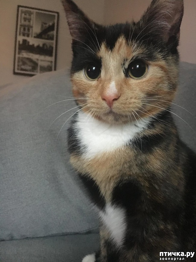 ���� 11: ��� ������ ���������� ������������ ����� ����� � ������� ����� � ���������������)))