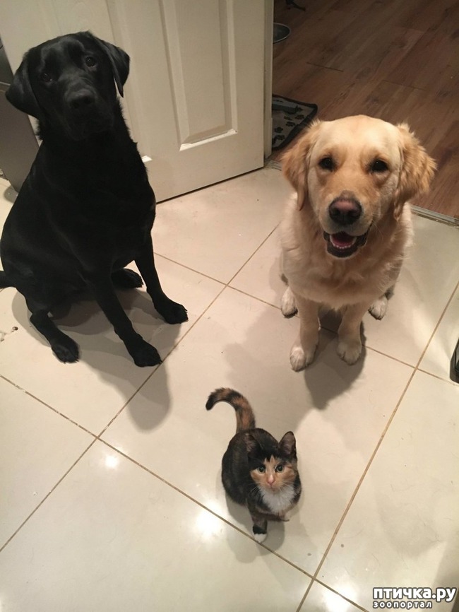 ���� 12: ��� ������ ���������� ������������ ����� ����� � ������� ����� � ���������������)))