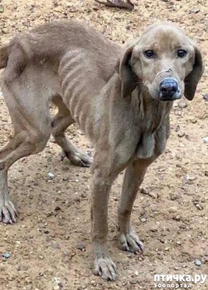 ����: ����������� ������ ��������, ��� ���� ������� � ��������� ���� �� ��������. �� ��������� ��� ��� ��������� � ����