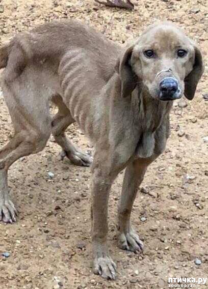 ���� 1: ����������� ������ ��������, ��� ���� ������� � ��������� ���� �� ��������. �� ��������� ��� ��� ��������� � ����